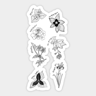 Oregon Forest Spring - Black Outline Sticker